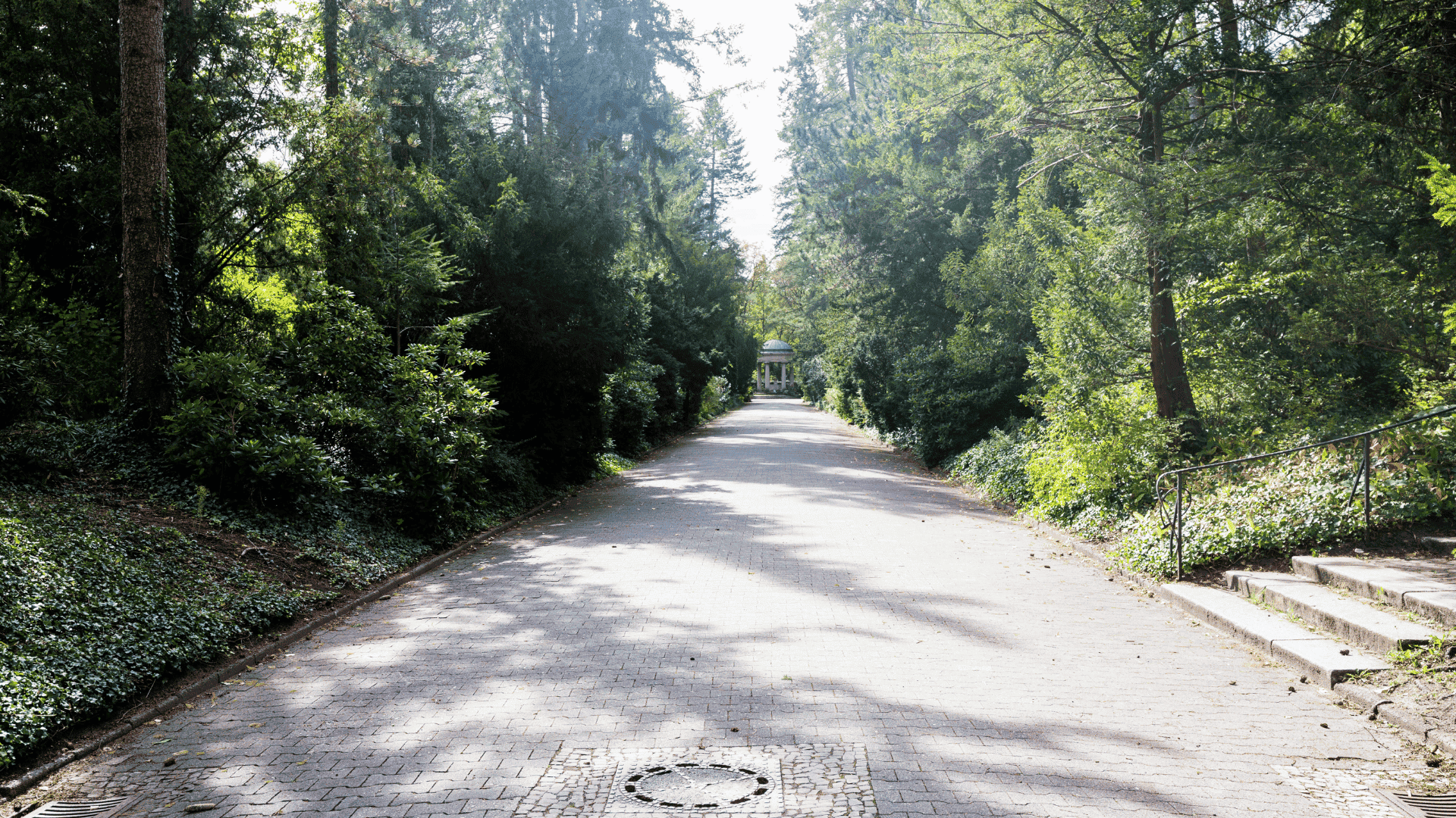 Baumgesäumter Fußweg im Parkfriedhof Lichterfelde