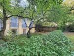 Repräsentative Büroflächen in historischer Grunewald-Villa - Außenansicht