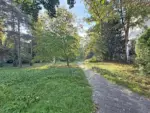 commercial in historical villa in Grunewald - Umgebung