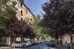 Beautiful 2-room apartment - Meyerheimerstraße