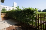 Charming two-room apartment in green Lichterfelde. - Terrasse